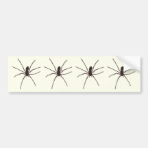 Spider Bumper Stickers