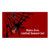 Spider Business Cards Template business cards