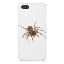Spider Case iPhone 5 Case