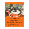 Spider Cat postcards