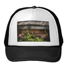 Spider - Charlottes Web Hat