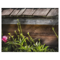 Spider - Charlottes Web Letterhead Template