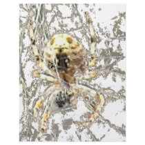 Spider Closeup Mystic Web Personalized Flyer