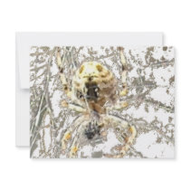 Spider Closeup Mystic Web Custom Announcement