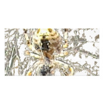 Spider Closeup Mystic Web Photo Greeting Card