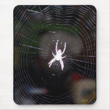 Spider in her Web Mousepad
