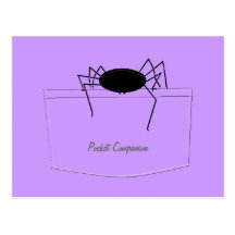 Spider in Pocket Post Card