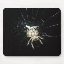 Spider in Web Mousepad
