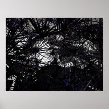 Spider - JMA0080 Poster