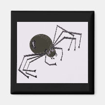 Spider Magnet
