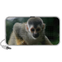 Spider Monkey Speakers