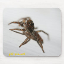 Spider Mousepad