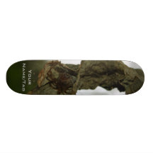 Spider Nest Skateboard
