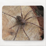Spider On a Log Mouse Mats