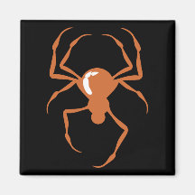 Spider (Orange) Magnets