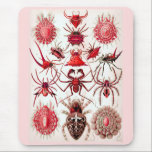 Spider Pad mousepads