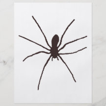 spider personalized flyer