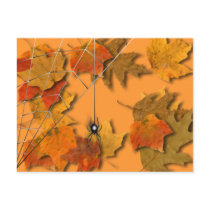 Spider Post Cards