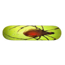 Spider Skateboard
