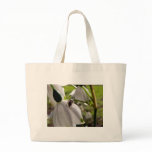 Spider Surveys From A Snowdrop Tote Bag