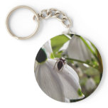 Spider Surveys From A Snowdrop Keychain