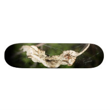 Spider Trap Skateboard