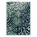 Spider Web#2 cards