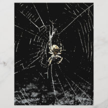 Spider Web at Midnight Personalized Flyer