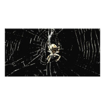 Spider Web at Midnight Picture Card