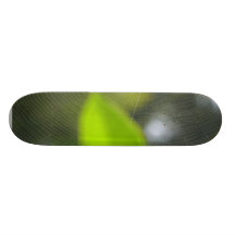 Spider Web Custom Skate Board