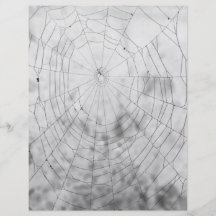 Spider web flyer design