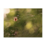 Spider Web Post Cards
