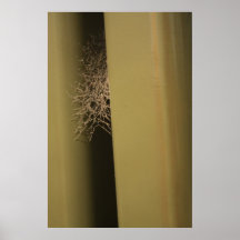 Spider Web Posters