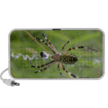 Spider with prey Travel Speakers
