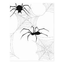 Spiders Post Card