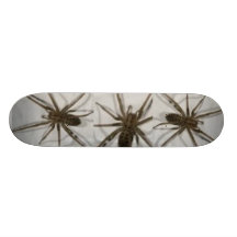 spiders skate skateboard decks