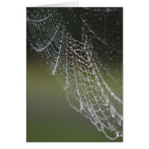 spider's web greeting card