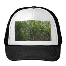 Spiderweb Covered With Dew In The Morning Trucker Hats