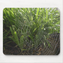 Spiderweb Covered With Dew In The Morning Mouse Mat