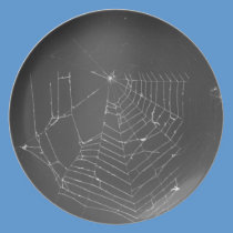 Spiderweb plates