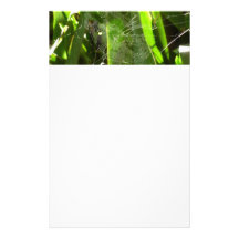 Spiderweb in Tropical Leaves Stationery