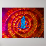 Spiderweb Print