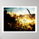 Spiderweb Posters