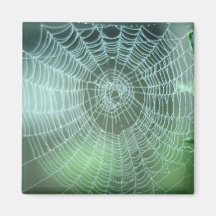 Spiderweb Square Magnet 1