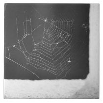 Spiderweb tiles