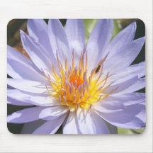 Spiking purple mouse pads