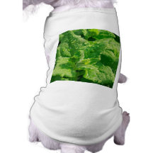 Spinach and raindrops pet shirt