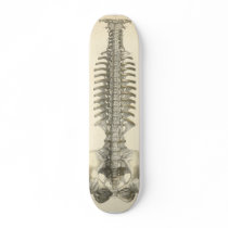 Spinal Column Skateboard Deck