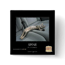 Spine