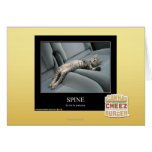 Spine cards